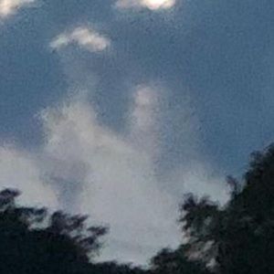 Meet your Posher, Latasha